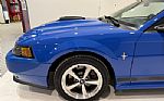 2003 Mustang Mach I Thumbnail 15