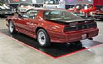 1988 Trans Am GTA Thumbnail 4