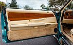 1978 Blackhawk Thumbnail 57
