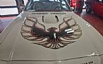 1976 Trans Am Thumbnail 2