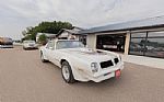 1976 Trans Am Thumbnail 1