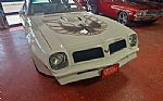 1976 Trans Am Thumbnail 7