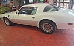 1976 Trans Am Thumbnail 17