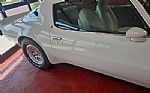 1976 Trans Am Thumbnail 23
