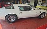 1976 Trans Am Thumbnail 25