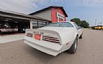 1976 Trans Am Thumbnail 94