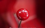 1957 3100 Cameo Thumbnail 42