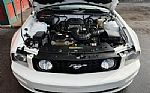 2007 Mustang Thumbnail 25