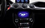 2020 Mustang Shelby Thumbnail 93