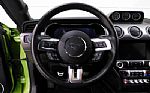 2020 Mustang Shelby Thumbnail 94