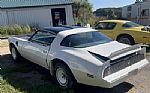 1981 Firebird Trans Am indy pace c Thumbnail 7