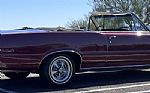 1965 GTO Thumbnail 10