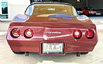 1981 Corvette Thumbnail 7