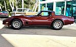 1981 Corvette Thumbnail 10
