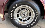 1981 Corvette Thumbnail 20
