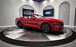 2018 Mustang Thumbnail 5