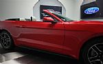 2018 Mustang Thumbnail 12