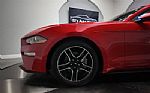 2018 Mustang Thumbnail 14