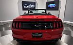 2018 Mustang Thumbnail 17