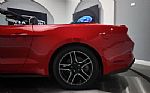2018 Mustang Thumbnail 19