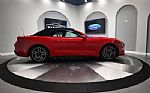 2018 Mustang Thumbnail 29