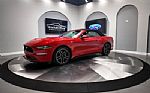2018 Mustang Thumbnail 24