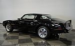 1976 Firebird Trans Am Thumbnail 8
