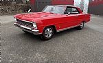 1966 Nova Thumbnail 16