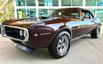 1967 Firebird Thumbnail 13