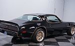 1981 Firebird Trans Am Thumbnail 11