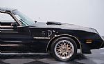 1981 Firebird Trans Am Thumbnail 24