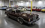 1979 Thunderbird Thumbnail 9