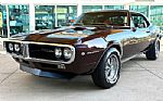 1967 Firebird Thumbnail 1