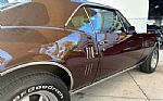 1967 Firebird Thumbnail 18