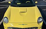 2002 Thunderbird Convertible Thumbnail 13