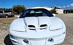 2002 Firebird Trans Am Thumbnail 17