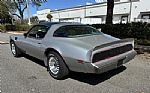 1979 Trans Am 10th Anniversary Edit Thumbnail 6