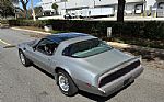 1979 Trans Am 10th Anniversary Edit Thumbnail 7