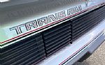 1979 Trans Am 10th Anniversary Edit Thumbnail 15