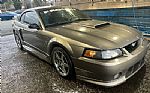 2001 Mustang Roush Stage 2 Thumbnail 1