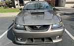 2001 Mustang Roush Stage 2 Thumbnail 4