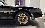 1976 Trans Am Thumbnail 12