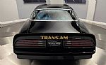 1976 Trans Am Thumbnail 19