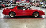1987 Trans Am GTA Thumbnail 7