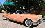 1957 Thunderbird Thumbnail 20