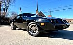 1979 Trans Am Thumbnail 4