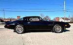 1979 Trans Am Thumbnail 5
