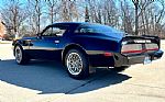 1979 Trans Am Thumbnail 8