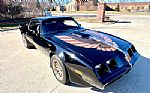 1979 Trans Am Thumbnail 11
