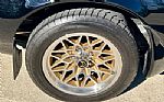 1979 Trans Am Thumbnail 70